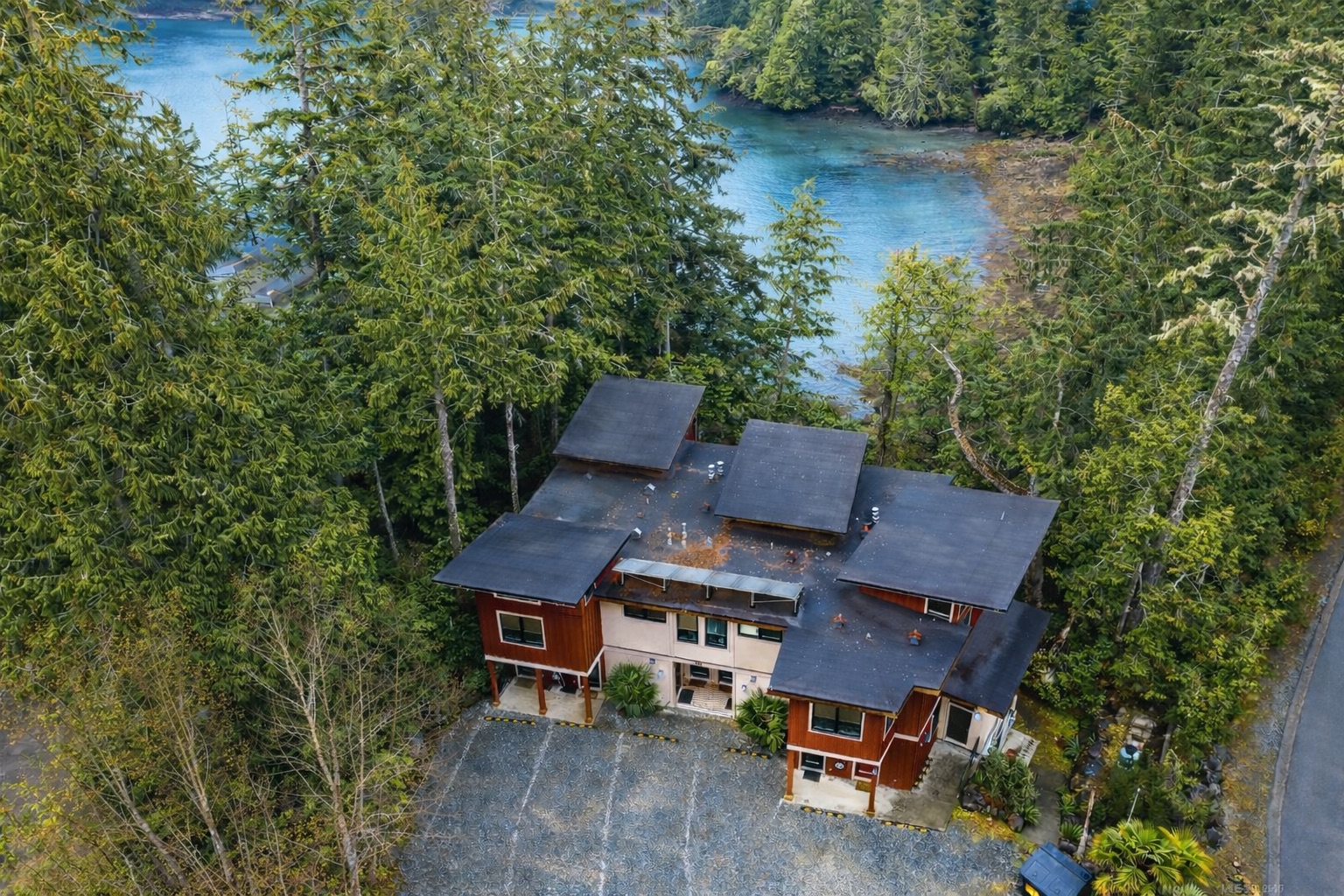 Coastal Rainforest — Ucluluet